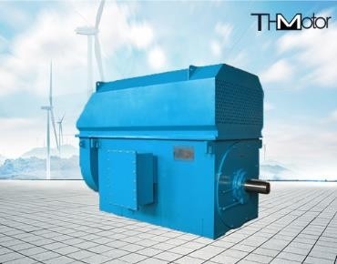 IP23 risparmio energetico 100rpm a basso rumore 3000rpm ai motori elettrici ad alta tensione 50Hz 10KV