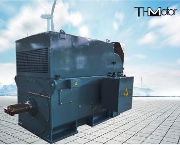 Il grande scoiattolo di Y800 6000kw ingabbia il min ad alta tensione IP54 dei motori elettrici 1500r/