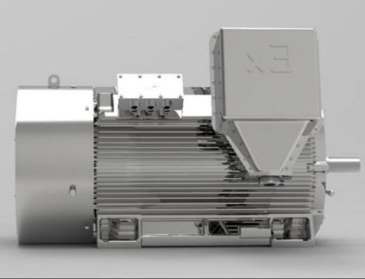Motore elettrico a prova di esplosione 3600rpm IE2 con pompa a prova di esplosione trifase