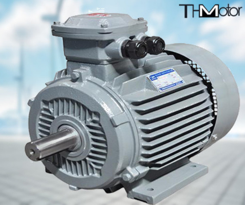 GB30254 Motopompa elettrica antideflagrante ad alta tensione IP65 165kW