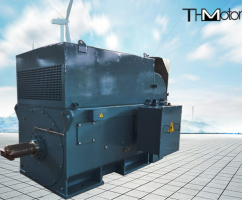 Y800 400kw allo scoiattolo 6000kw ingabbiano i motori elettrici ad alta tensione 1500r/Min 3600rpm