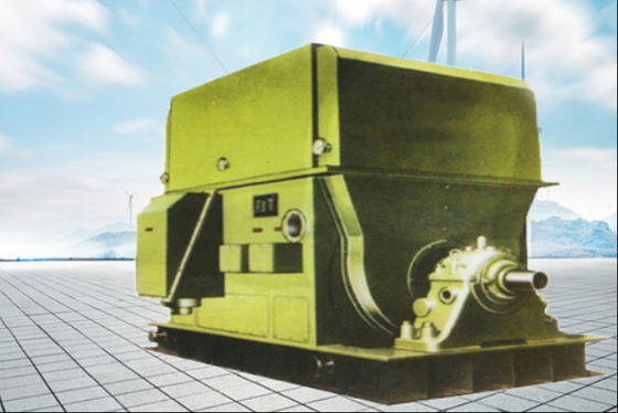 Motori elettrici ad alta tensione 6KV 10KV IP23 IP54 IP55 dei motori elettrici di alta velocità della gabbia di scoiattolo
