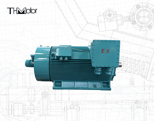 1000kw al motore ignifugo del motore elettrico 1500rpm VFD di 12000kw ExdIIBT4 GB