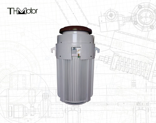 IE2 0-40C Motori per applicazioni speciali 600V 600 CV per intervalli di temperatura