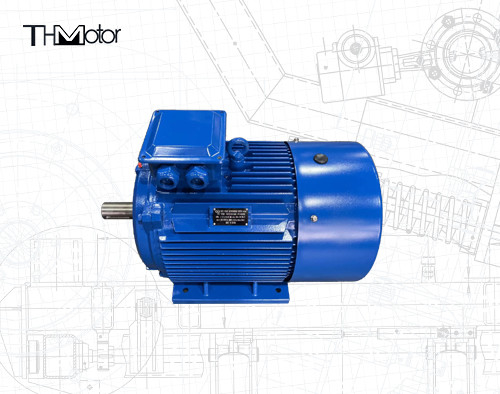 IC0141 Motore a gabbia da scoiattolo con diametro dell'albero di 75 mm per il funzionamento continuo S1