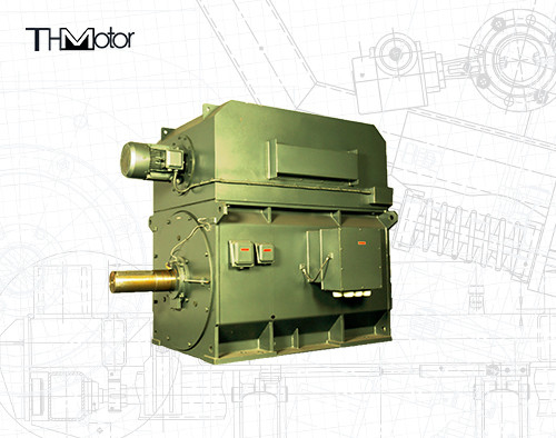 Invertitore di gabbia YPKK Motore asincrono a tre fasi 3000RPM IP55 6000KW