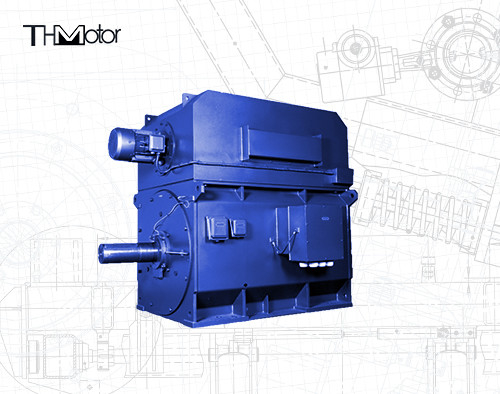 IP55 94,5% Regolazione della velocità Motore asincrono a tre fasi IEC DNV GB