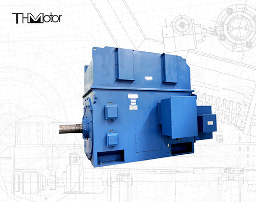 motore elettrico ignifugo P44 asincrono IP54 IP55 di 3000V 6000V 1500rpm