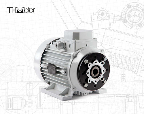 1000-12000kw 4/6 poli Voltage Motore a corrente continua Albero cavo/Albero solido per applicazioni pesanti