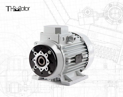 1000-12000kw 4/6 poli Voltage Motore a corrente continua Albero cavo/Albero solido per applicazioni pesanti