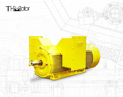 20P motore elettrico ignifugo 5600KW della gabbia di scoiattolo di 3 fasi