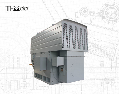 Motore asincrono elettrico del motore elettrico di Ring Three Phase Motor Induction di slittamento