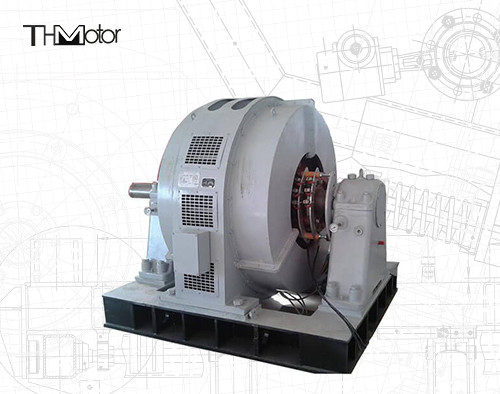 Motore sincrono TDG su larga scala 6kv per acciaieria a soffiante