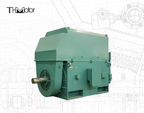 Motori elettrici a tensione di 50 Hz IP23 - IP55 Potenza nominale compresa tra 400 kW e 6000 kW
