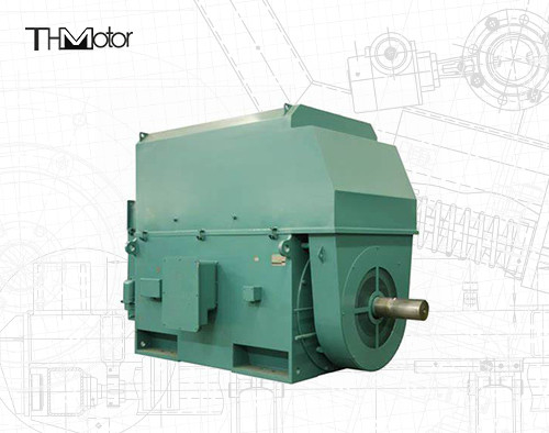 Motori elettrici a tensione di 50 Hz IP23 - IP55 Potenza nominale compresa tra 400 kW e 6000 kW