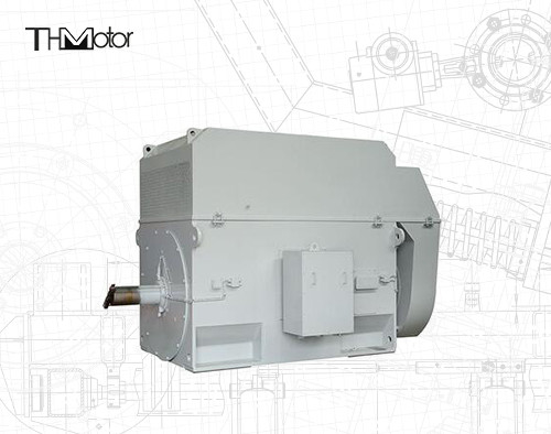 Motore a gabbia a scoiattolo a 50 Hz con albero da 100 mm per un funzionamento continuo a 3000 giri al minuto