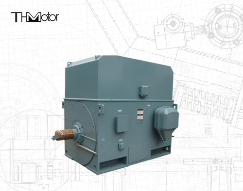 Motore elettrico per gabbia di scoiattolo industriale 3000 giri al minuto 1250 kW 142A IP55 continuo S1