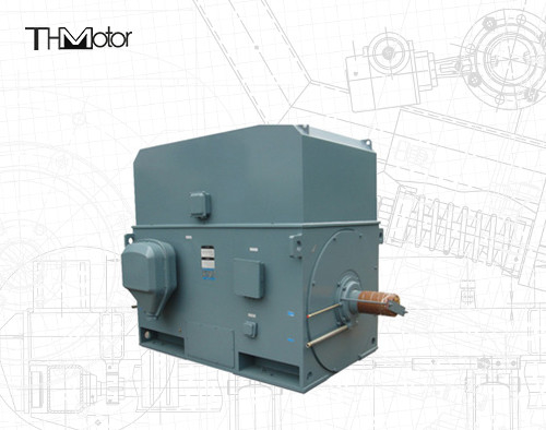 Motore elettrico per gabbia di scoiattolo industriale 3000 giri al minuto 1250 kW 142A IP55 continuo S1