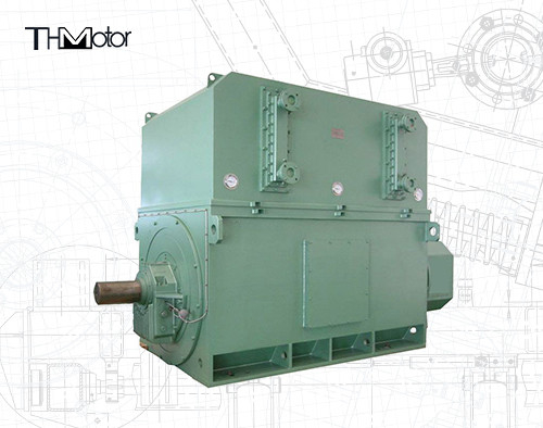 Motori industriali ad alta tensione 6000v-11000v 2 poli per prestazioni ottimali