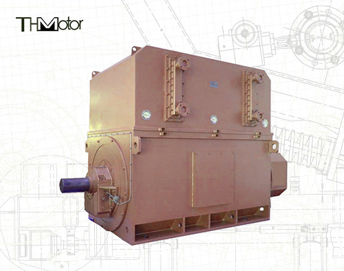 Motori industriali ad alta tensione 6000v-11000v 2 poli per prestazioni ottimali