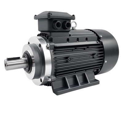 Motore sincrono a magnete permanente da 3kv 60 poli 400-15000kw