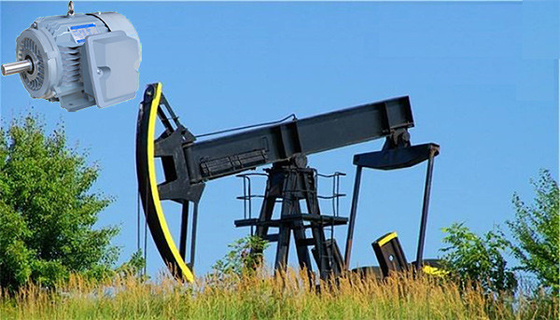 Motore asincrono di slittamento di alta coppia di torsione premio del NEMA alto IP55 per la pompa del pozzo di petrolio