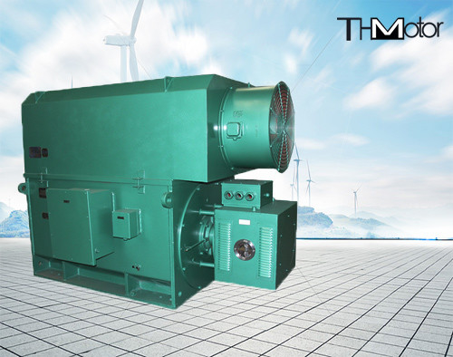 Motore a corrente alternata ad alta tensione di induzione di 10KV 50HZ