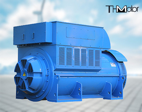 Motore asincrono trifase IP44 IP54 del motore elettrico del palo di YKS 4000KW 6000V 375rpm 16