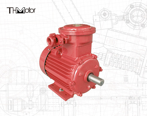 Regolazione della velocità VVVF Motore elettrico a prova di fiamma 380-440V Voltaggio nominale IMB3