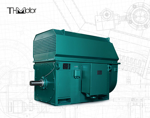 Motore elettrico ad alta tensione IP44 IP54 di CA del motore elettrico 600kw 700kw 800KW 10000V 2978rpm di YKK