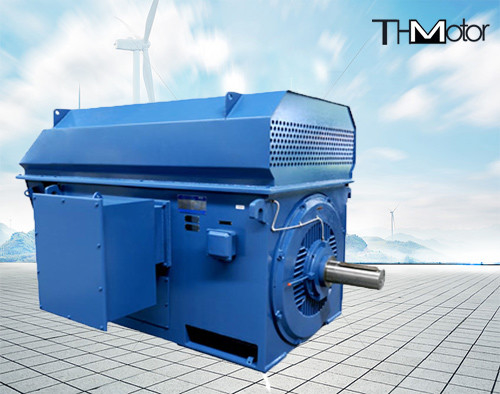 Y450-4 100rpm 3600rpm allo slittamento Ring High Voltage Electric Motors 50hz 1000kw 6kv