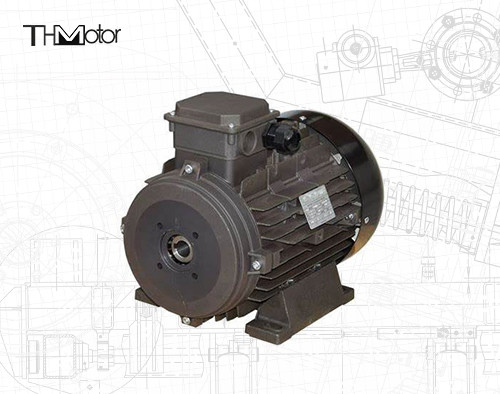 Motore DC a tensione IP54/IP55 per applicazioni industriali