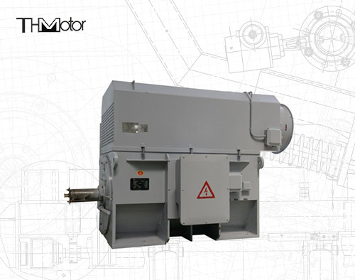 Motore a gabbia di scoiattolo S1 industriale continuo IP55 0,89 Fattore di potenza 450Mm Altezza dell'albero